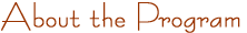 About the Program